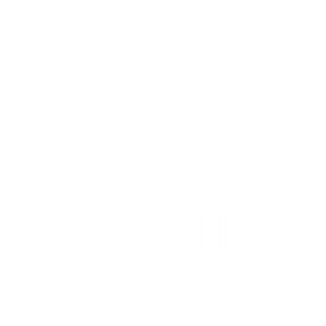 AM AEROMAX logo